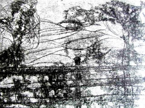 Archiv-Bild „Landschaft“