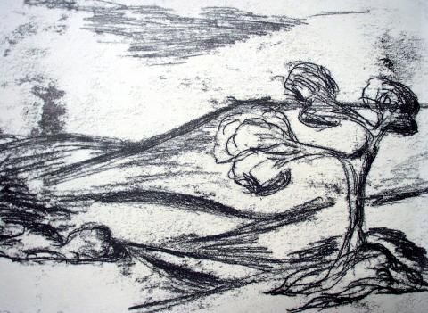 Archiv-Bild „Landschaft“