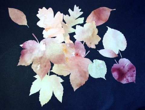 Archiv-Bild „Herbstblätter“