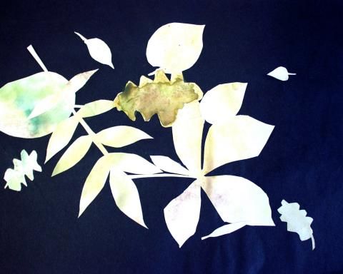 Archiv-Bild „Herbstblätter“