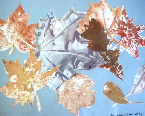 Archiv-Bild „Herbstblätter“