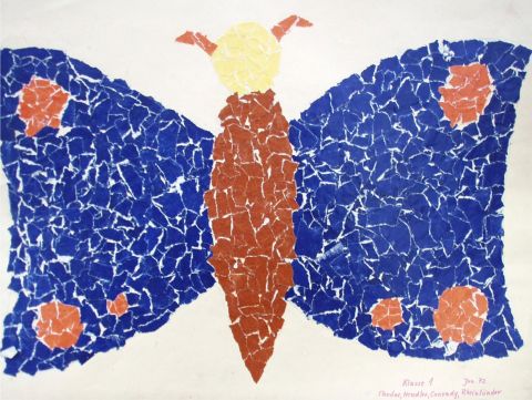 Archiv-Bild „Schmetterling“