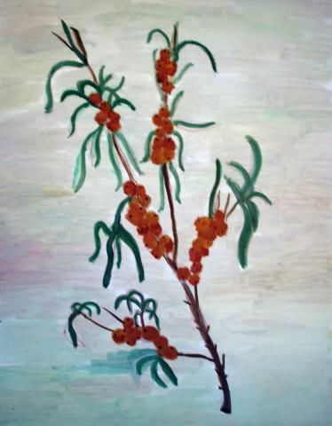 Archiv-Bild „Beerenzweig“