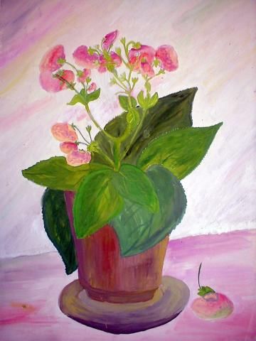 Archiv-Bild „Pantoffelblume“