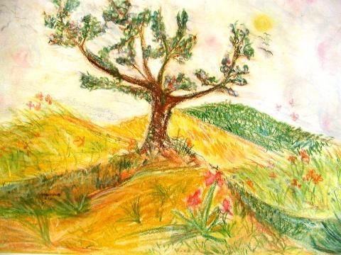 Archiv-Bild „Das Eichsfeld mit seinen grünen Wiesen“