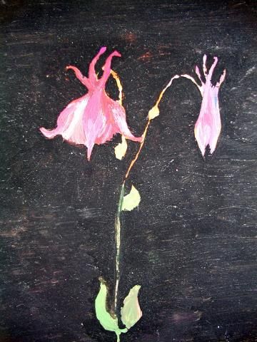 Archiv-Bild „Akelei“