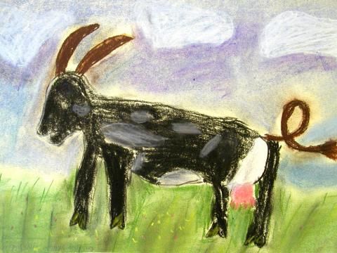 Archiv-Bild „Ziege“