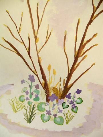 Archiv-Bild „Frühblüher“