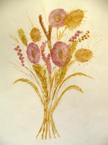 Archiv-Bild „Trockenstrauß“