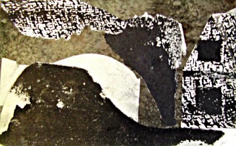 Archiv-Bild „Landschaft“