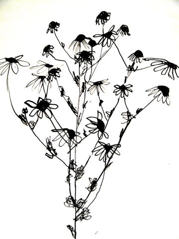 Archiv-Bild „Zweig mit Blüten“