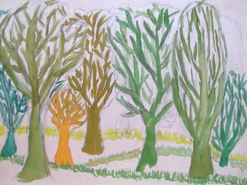 Archiv-Bild „Bäume“