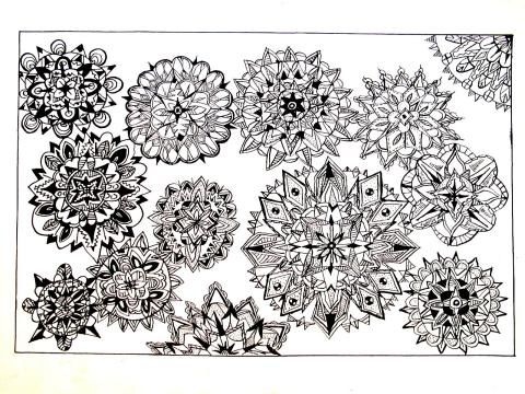 Archiv-Bild „Wunderblumen“