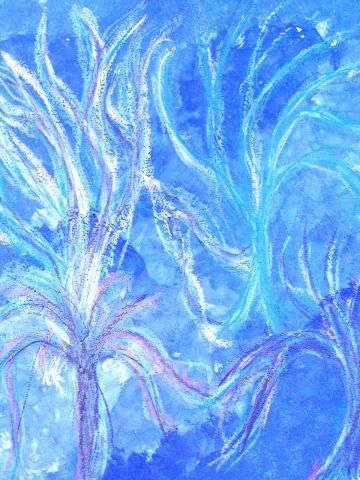 Archiv-Bild „Bäume bei Nacht“