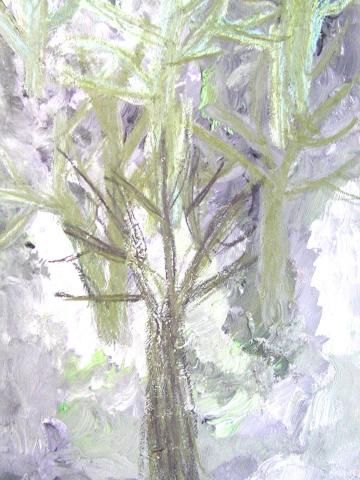 Archiv-Bild „Bäume bei Nacht“