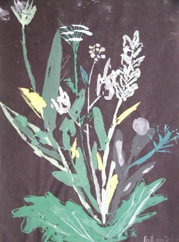 Archiv-Bild „Wiesenblumen“