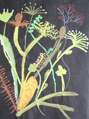 Archiv-Bild „Wiesenblumen“