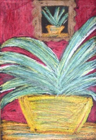 Archiv-Bild „Kaktus“