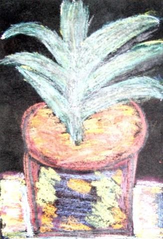 Archiv-Bild „Kaktus“