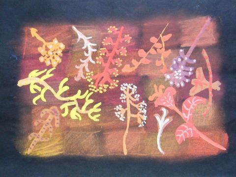 Archiv-Bild „Wasserpflanzen“