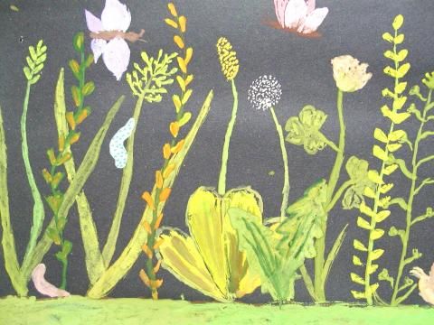 Archiv-Bild „Wiesenbewohner“