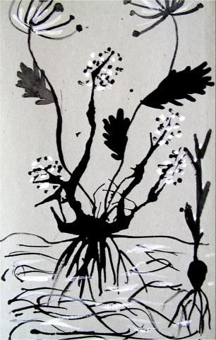 Archiv-Bild „Pflanzenstudie“