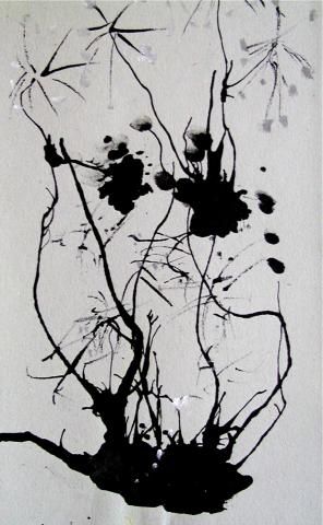 Archiv-Bild „Pflanzenstudie“