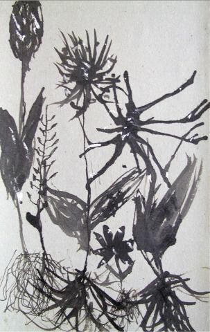 Archiv-Bild „Pflanzenstudie“