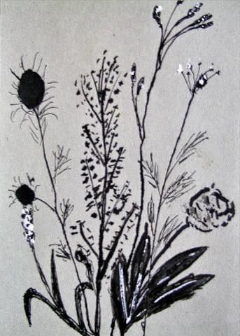 Archiv-Bild „Pflanzenstudie“