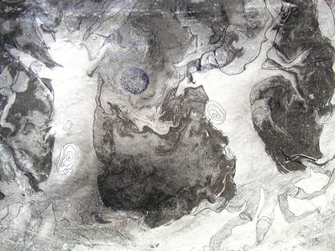 Archiv-Bild „Alte knorrige Bäume“