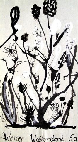 Archiv-Bild „Wiesenblumen“