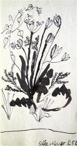 Archiv-Bild „Wiesenblumen“