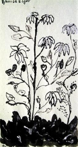 Archiv-Bild „Wiesenblumen“