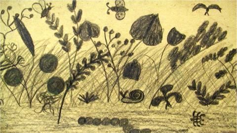 Archiv-Bild „Blick in die Pflanzenwiese“