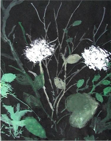 Archiv-Bild „Wiesenblumen“