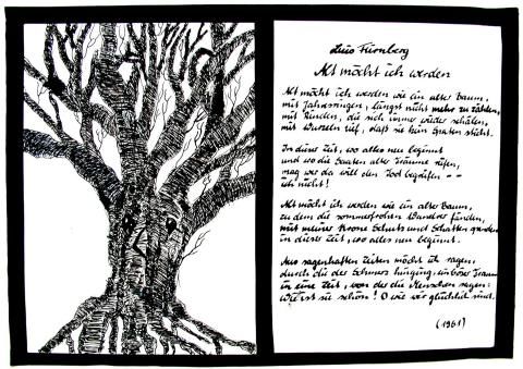 Archiv-Bild „Fürnberg: Alt möcht ich werden“