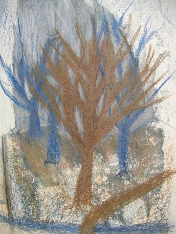 Archiv-Bild „Bäume“