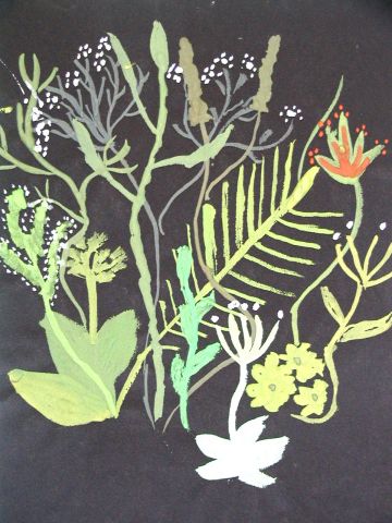 Archiv-Bild „Wiesenblumen“