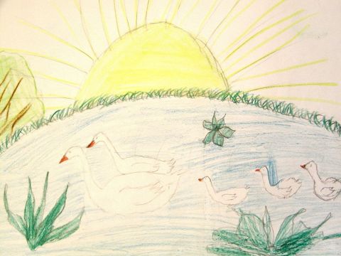 Archiv-Bild „Schwäne auf dem See“