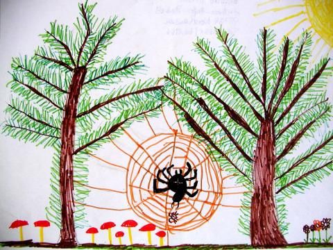 Archiv-Bild „Spinne im Wald“