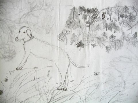 Archiv-Bild „Hund und Natur“