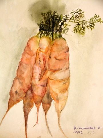 Archiv-Bild „Ein Bund Möhren“