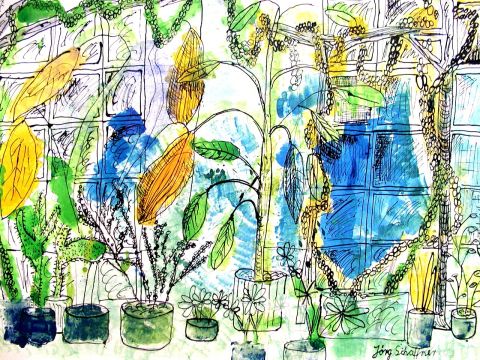 Archiv-Bild „Blumenfenster“