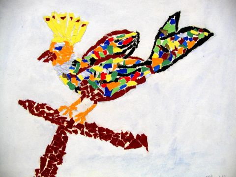 Archiv-Bild „Ein bunter Vogel“