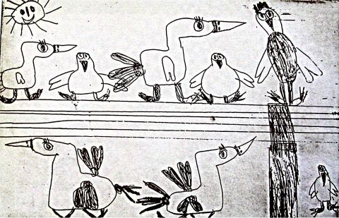 Archiv-Bild „Vögel“