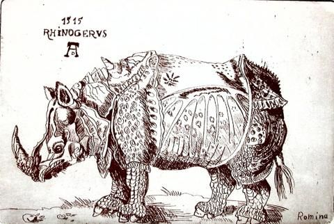 Archiv-Bild „Rhinocerus“