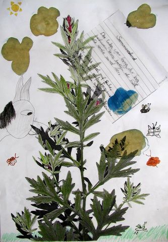 Archiv-Bild „Sommerabend“