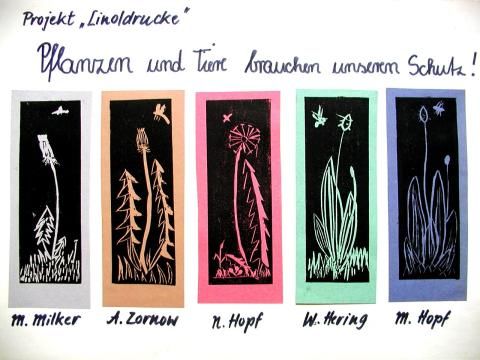 Archiv-Bild „Pflanzen und Tiere brauchen unseren Schutz“