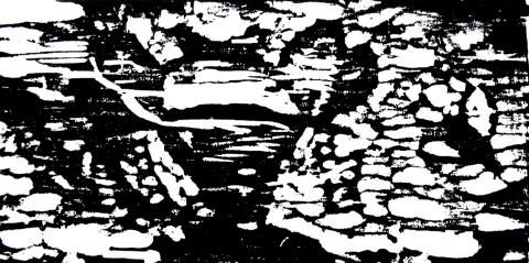 Archiv-Bild „Buch: Schiffsreise in mein Traumland“