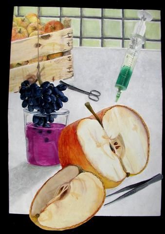 Archiv-Bild „Stillleben“